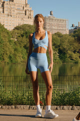 Hudson Bra - Azure